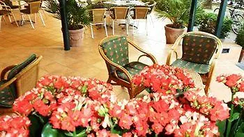 Hotel Aurora 伊拉克里亚马勒 意大利